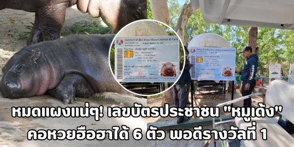 เลขบัตรประชาชน หมูเด้ง