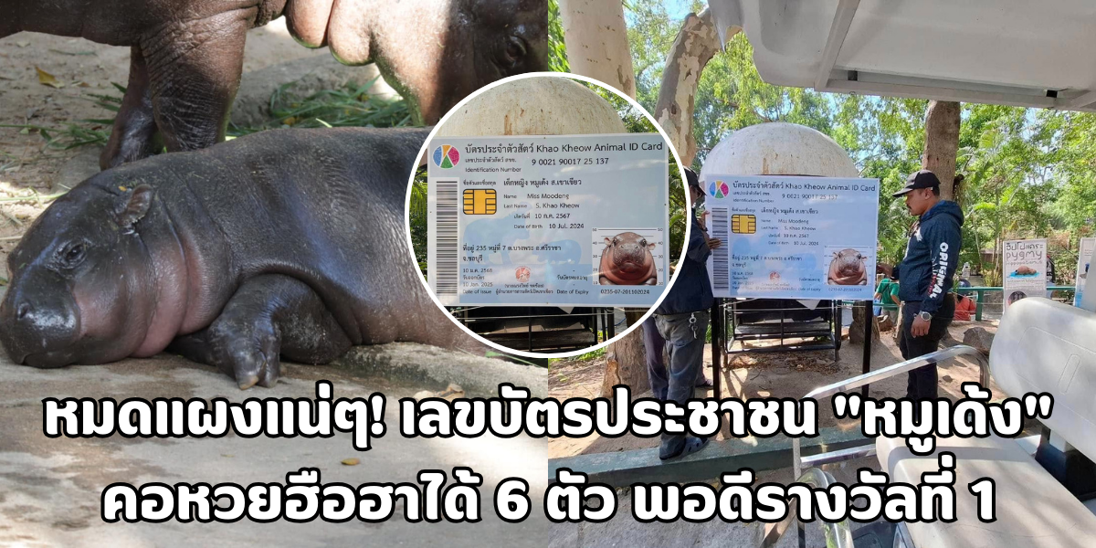 เลขบัตรประชาชน หมูเด้ง