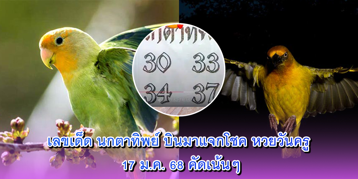 เลขเด็ด นกตาทิพย์