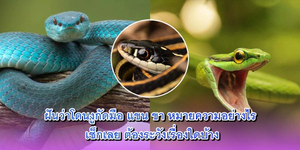 นว่าโดนงูกัด