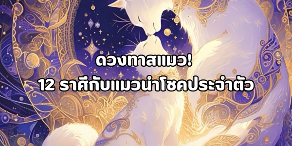 ดวงทาสแมว