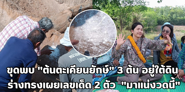 ต้นตะเคียนยักษ์