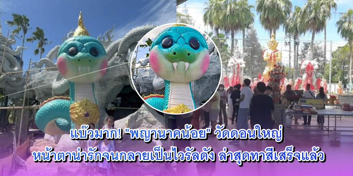 พญานาคน้อย พญานาคน้อย