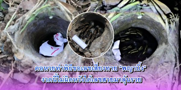 พญาบึ้ง