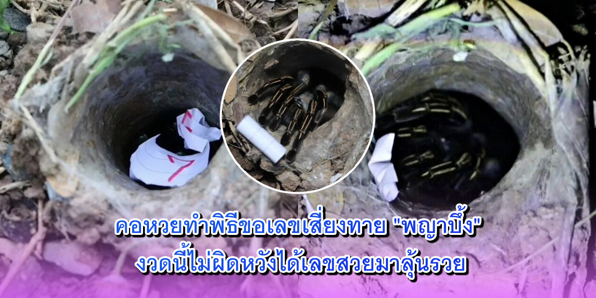 พญาบึ้ง พญาบึ้ง