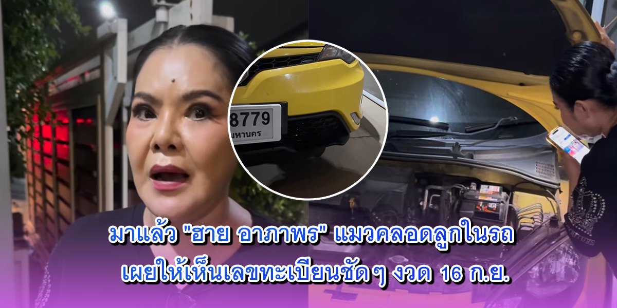 ฮาย อาภาพร