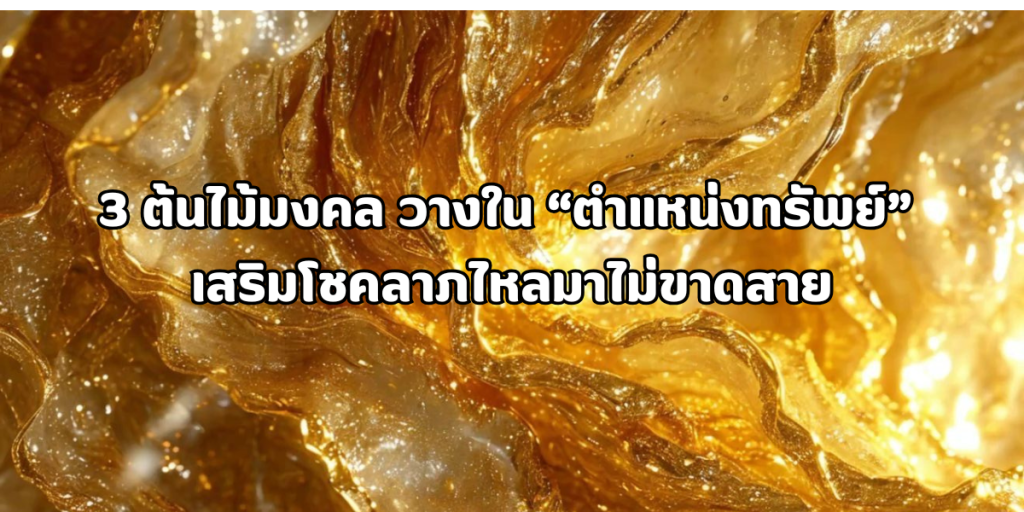 3 ต้นไม้มงคล