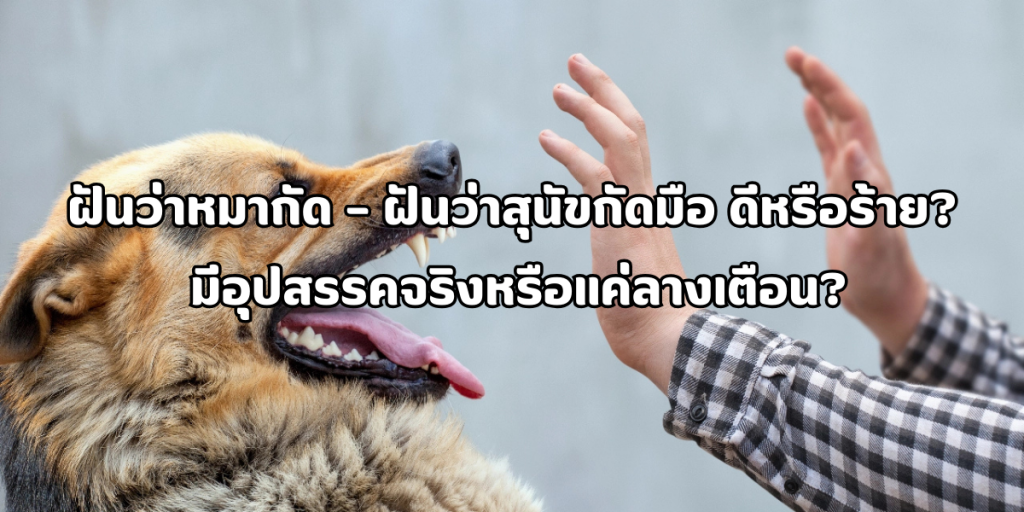 ฝันว่าหมากัด