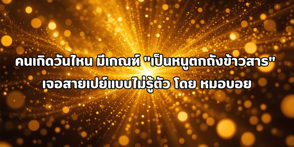 เป็นหนูตกถังข้าวสาร